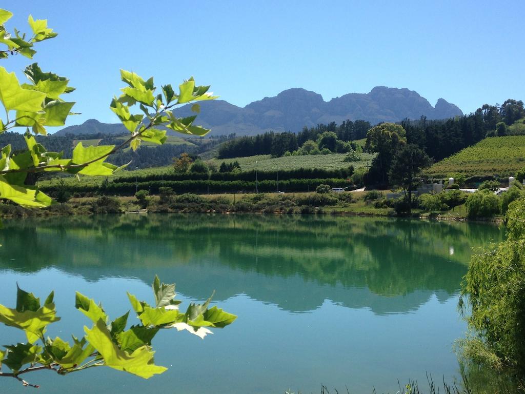 Fynbos Feniks Apartment Stellenbosch Exteriér fotografie